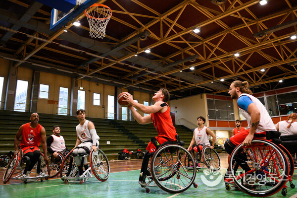The Volpi Rosse Menarini